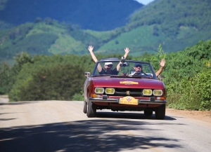 DZ-05-97 14-11-2016 Lion d or